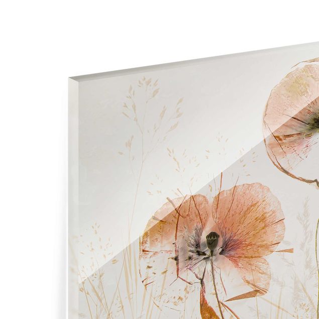 Glasschilderijen Dried Poppy Flowers With Delicate Grasses