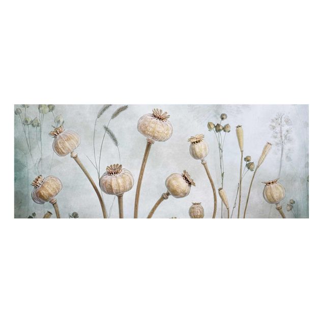 Glasschilderijen Dried Poppy Flower