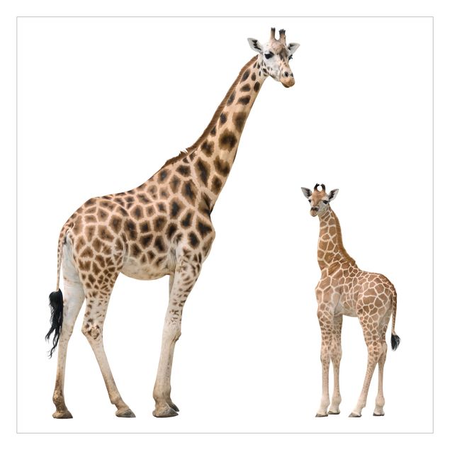 Fotobehang Giraffe Mother And Child