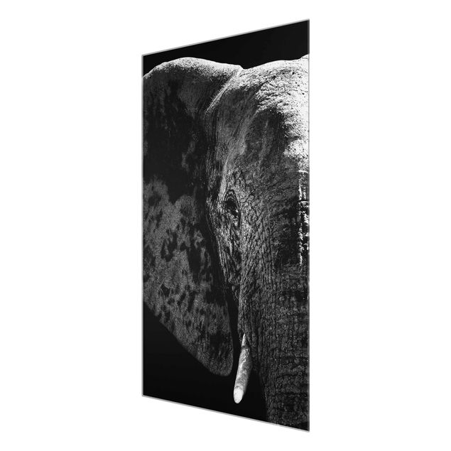 Glasschilderijen African Elephant black & white