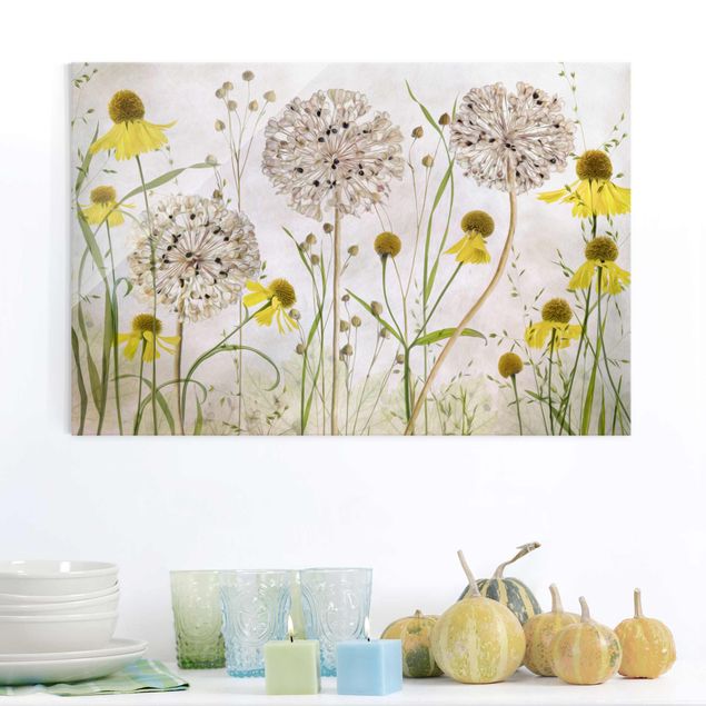 Glasschilderijen Allium And Helenium Illustration