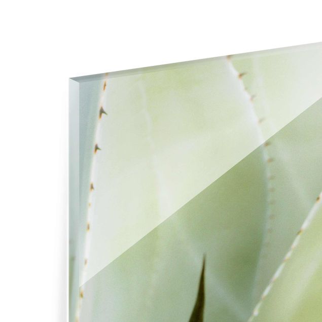 Glasschilderijen Aloe