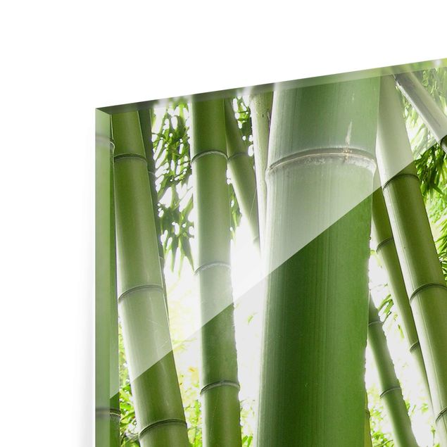 Glasschilderijen Bamboo Trees No.1