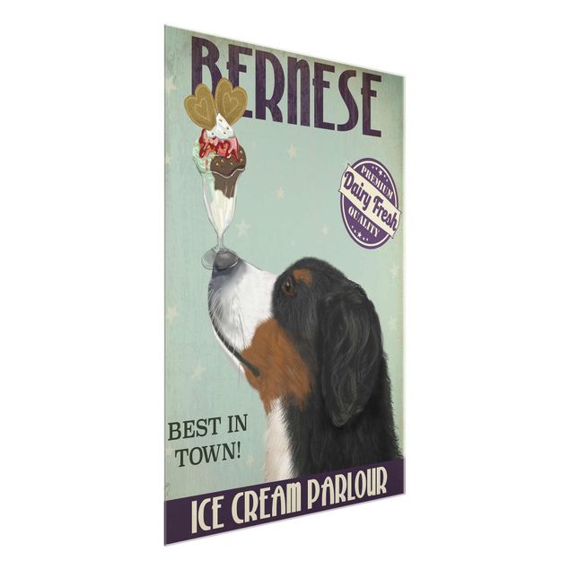 Glasschilderijen Bernese Mountain Dog With Ice