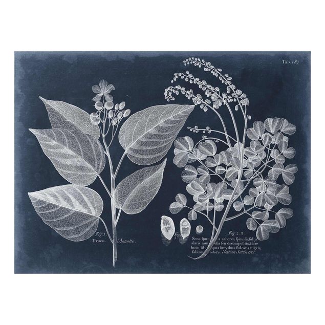 Glasschilderijen Foliage Dark Blue - Annotto
