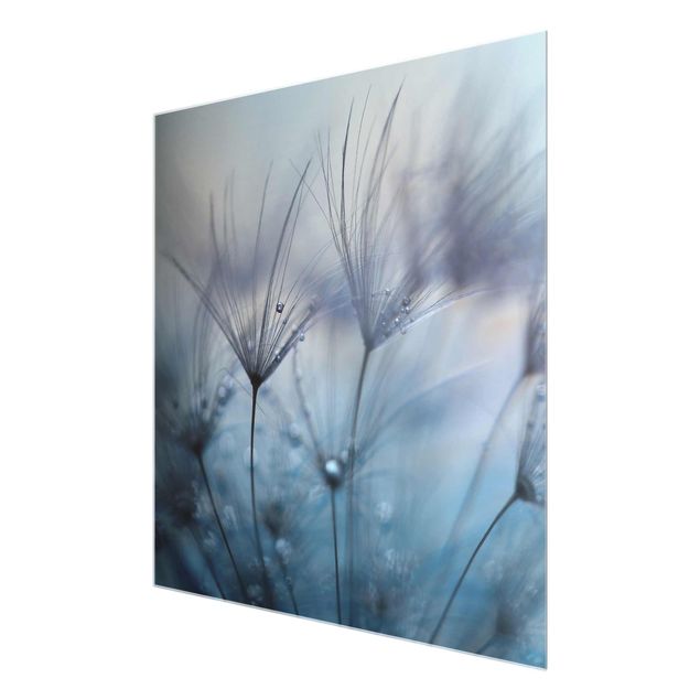 Glasschilderijen Blue Feathers In The Rain
