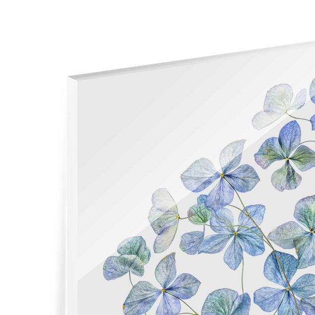Glasschilderijen Blue Hydrangea Flowers
