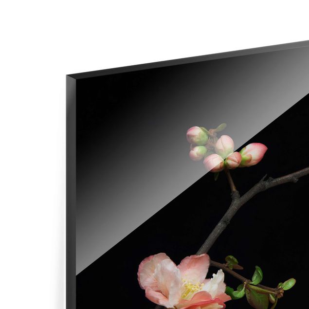 Glasschilderijen Blossoming Branch Apple Tree