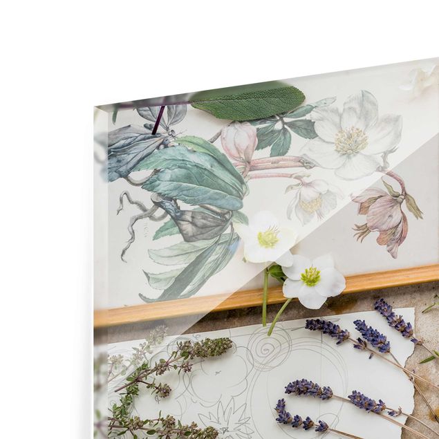 Glasschilderijen Flowers And Garden Herbs Vintage