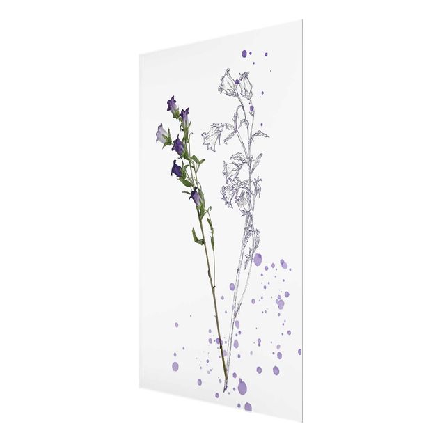 Glasschilderijen Botanical Watercolour - Bellflower