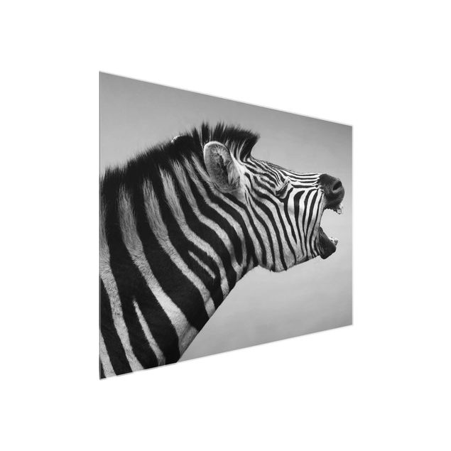 Glasschilderijen Roaring Zebra ll