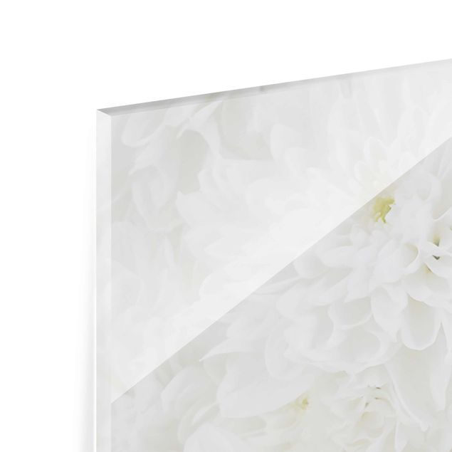 Glasschilderijen Dahlias Sea Of Flowers White