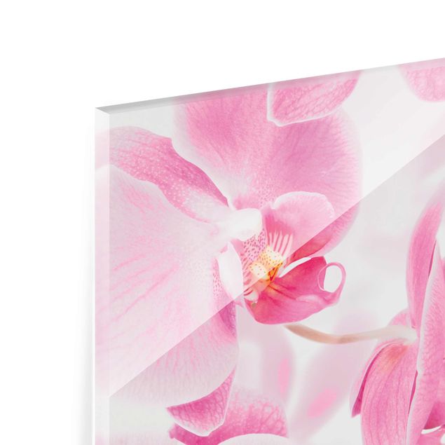 Glasschilderijen Delicate Orchids