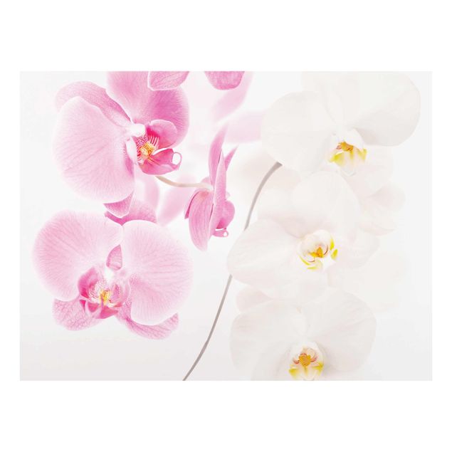 Glasschilderijen Delicate Orchids