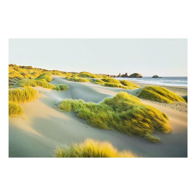 Glasschilderijen Dunes And Grasses At The Sea