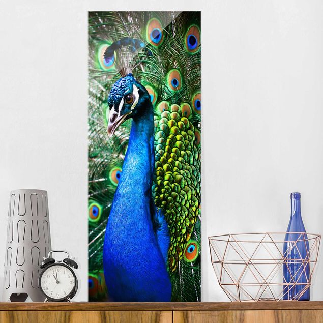 Glas Magnettafel Noble Peacock