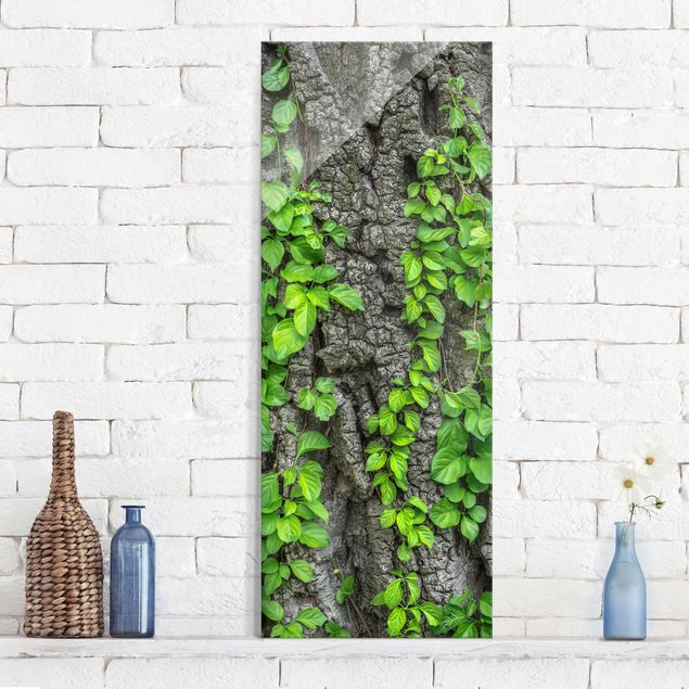 Glas Magnetboard Ivy Tendrils Tree Bark