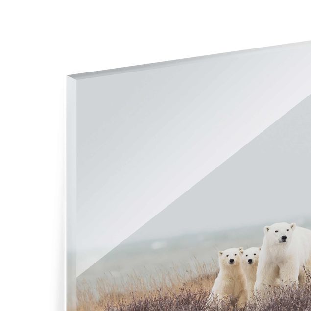 Glasschilderijen Polar Bear And Her Cubs