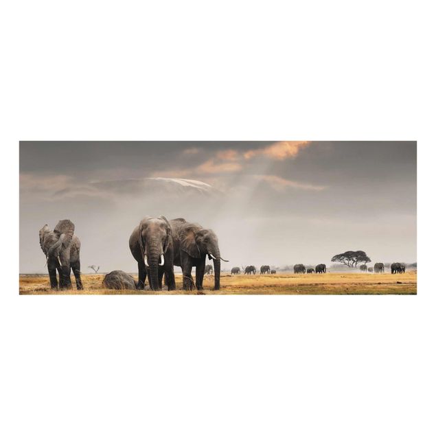 Glasschilderijen Elephants in the Savannah