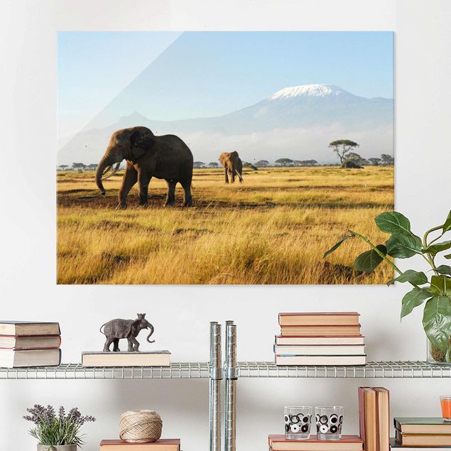 Magnettafel Glas Elephants In Front Of The Kilimanjaro In Kenya
