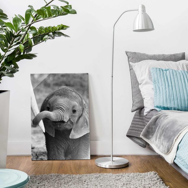 Glasschilderijen Baby Elephant