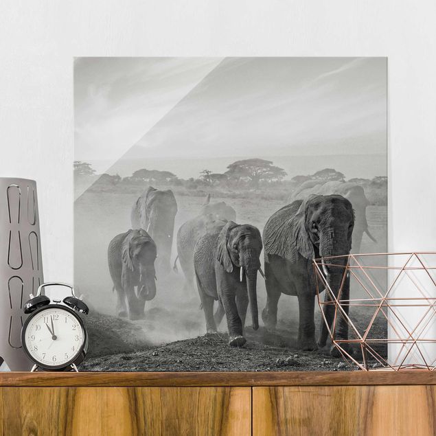 Glas Magnetboard Herd Of Elephants