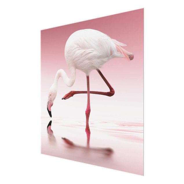 Glasschilderijen Flamingo Dance