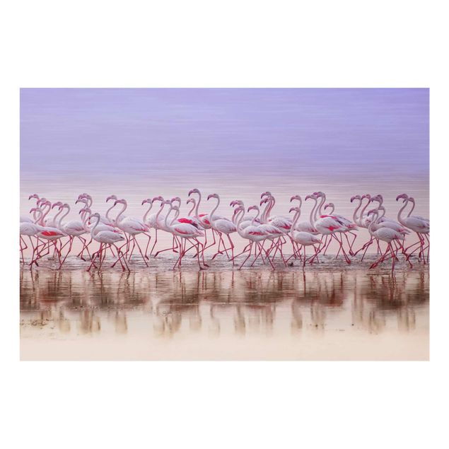 Glasschilderijen Flamingo Party