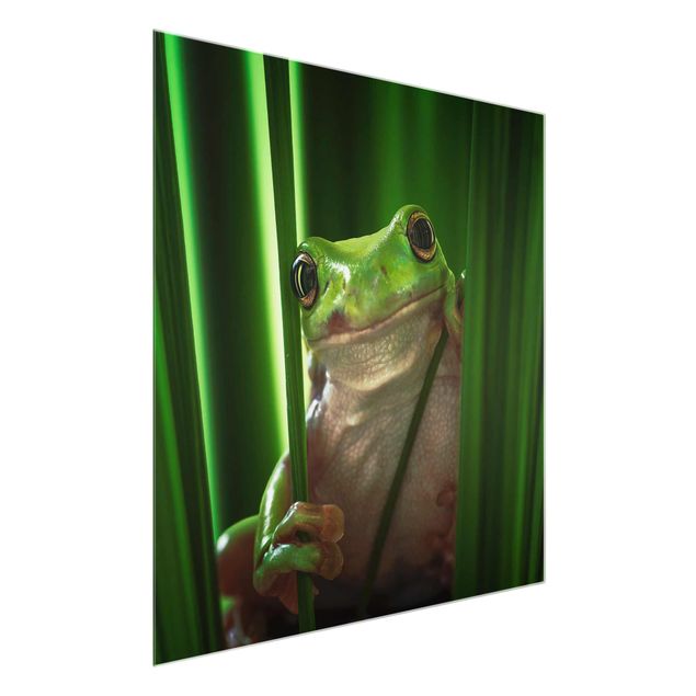 Glasschilderijen Merry Frog
