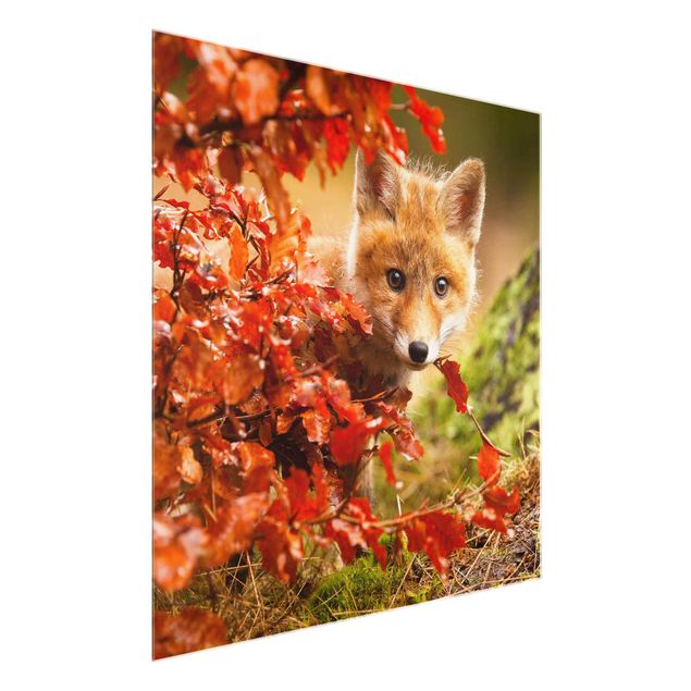 Glasschilderijen Fox In Autumn