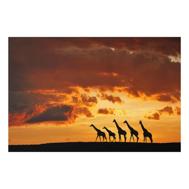 Glasschilderijen Five Giraffes