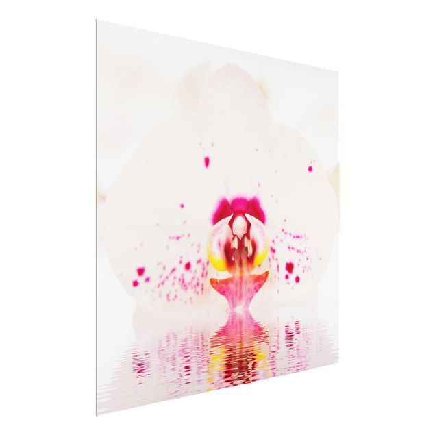 Glasschilderijen Dotted Orchid On Water