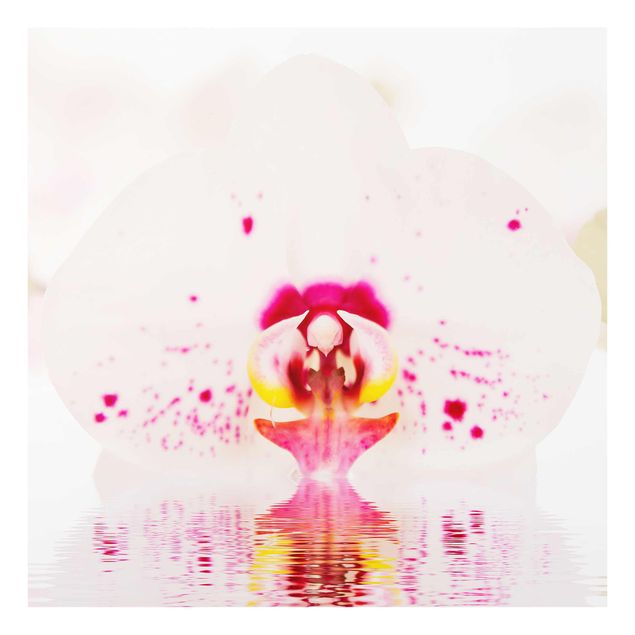 Glasschilderijen Dotted Orchid On Water