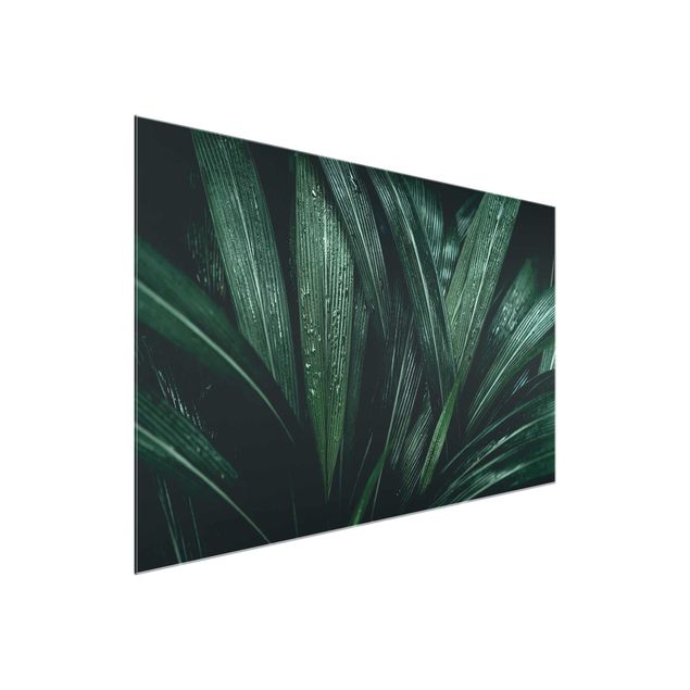 Glasschilderijen Green Palm Leaves