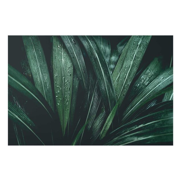 Glasschilderijen Green Palm Leaves