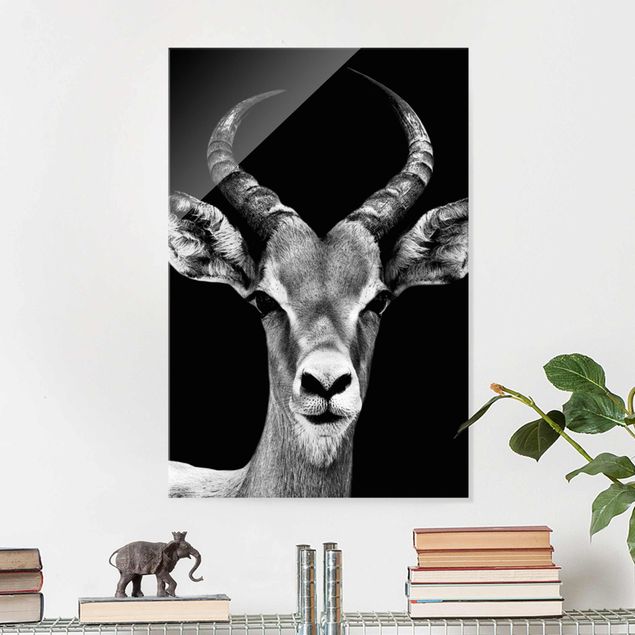 Glas Magnettafel Impala antelope black & white