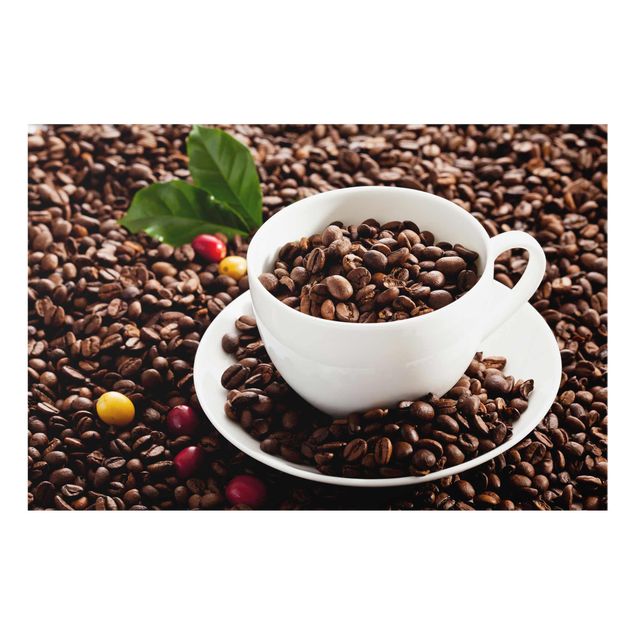 Glasschilderijen Coffee Cup With Roasted Coffee Beans