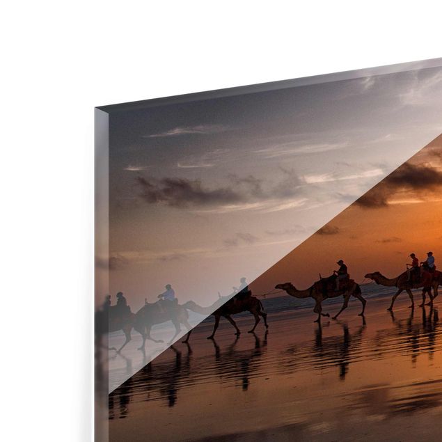 Glasschilderijen Camel Safari