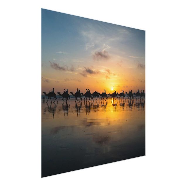 Glasschilderijen Camels in the sunset
