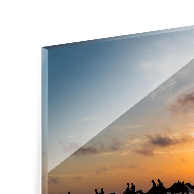 Glasschilderijen Camels in the sunset