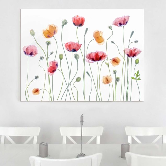 Glas Magnetboard Poppy Party