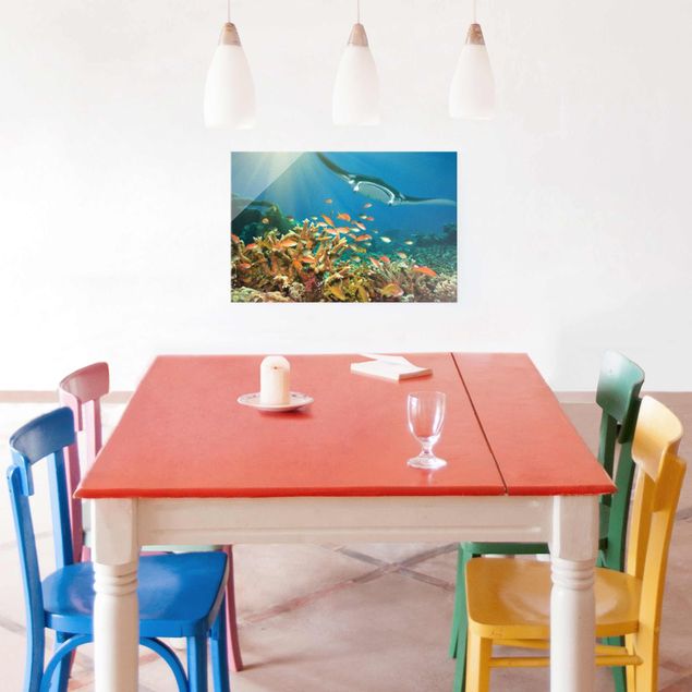 Glasschilderijen Coral reef