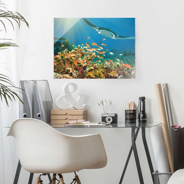 Glasschilderijen Coral reef