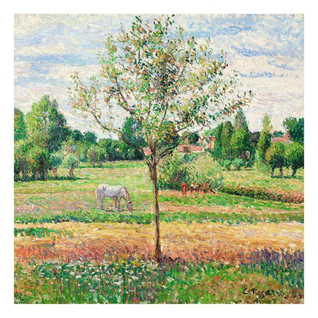 Glasschilderijen Camille Pissarro - Meadow with Grey Horse, Eragny