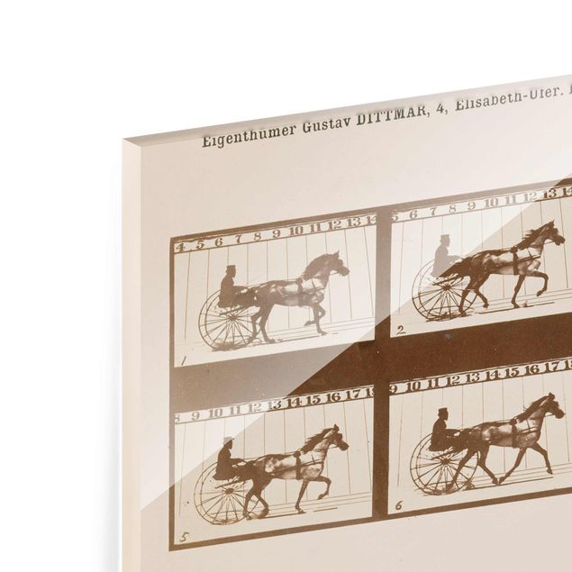 Glasschilderijen Eadweard Muybridge - The horse in Motion
