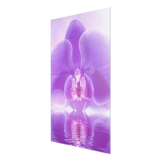 Glasschilderijen Purple Orchid On Water
