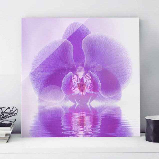 Magnettafel Glas Purple Orchid On Water