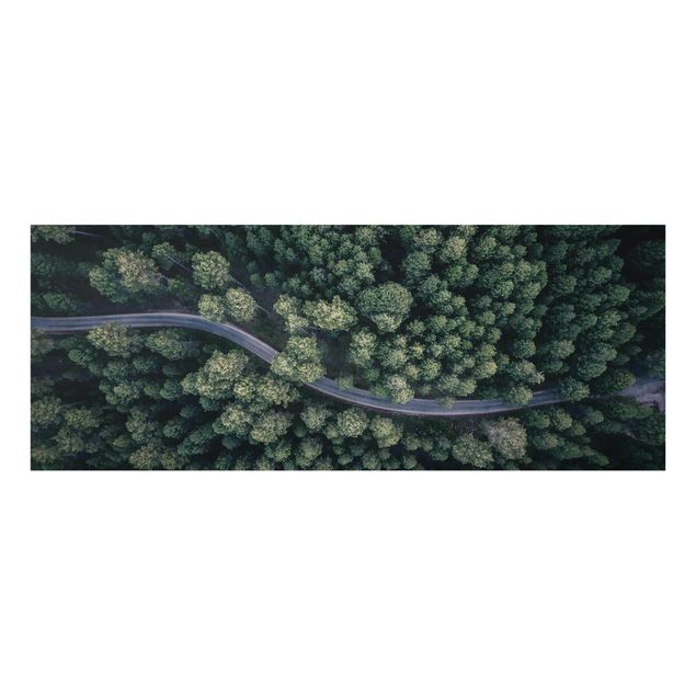 Glasschilderijen Aerial View - Forest Road From The Top