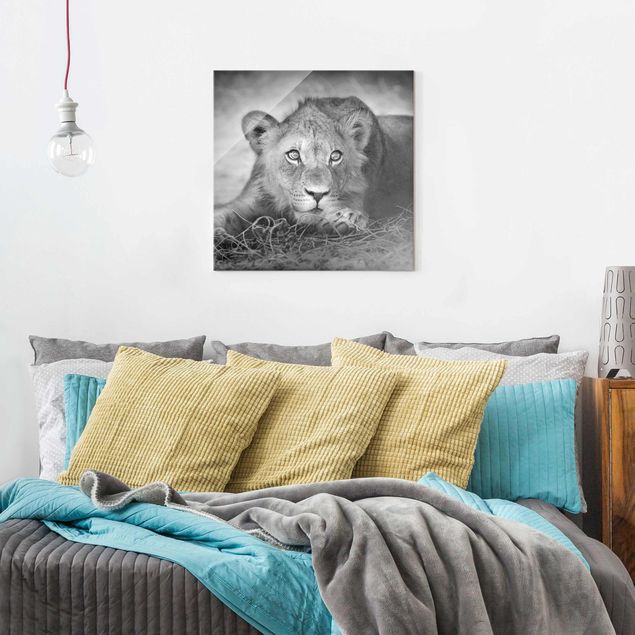 Glasschilderijen Lurking Lionbaby