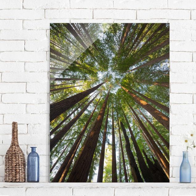 Glas Magnetboard Sequoia Tree Tops
